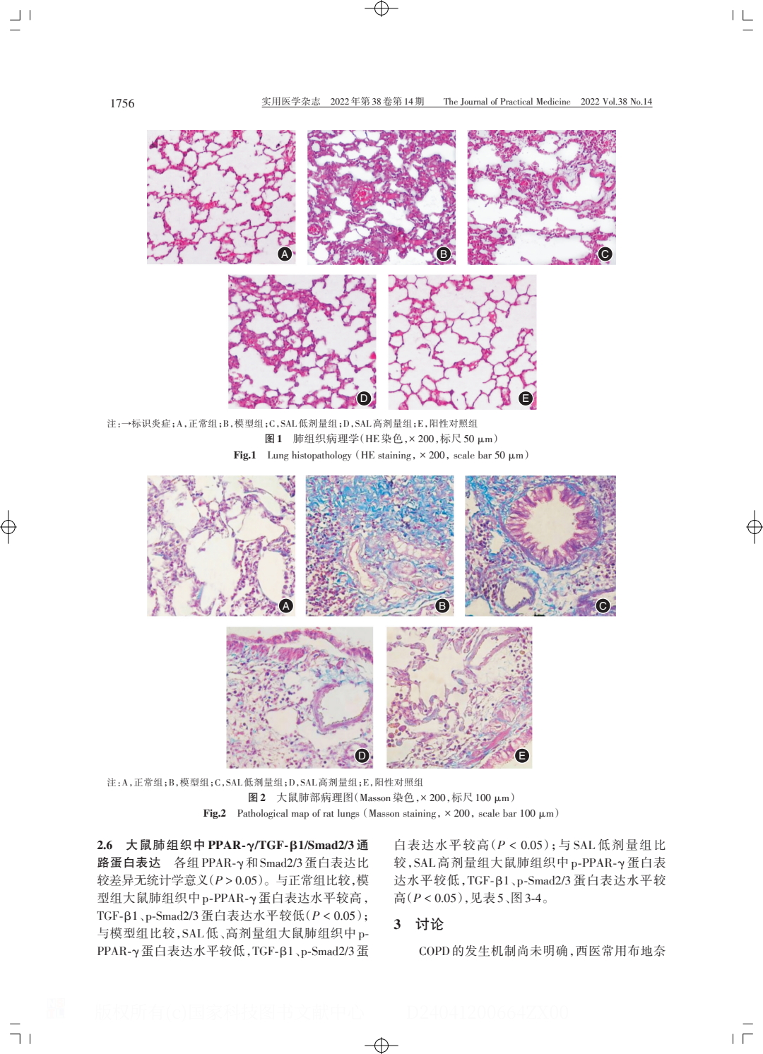 红景天苷改善慢性阻塞性肺疾病炎症模型及.PDF_3.jpeg